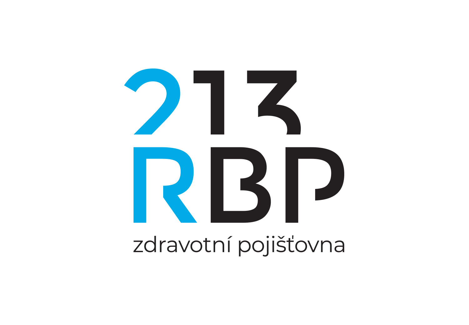 213 Insurance Logo